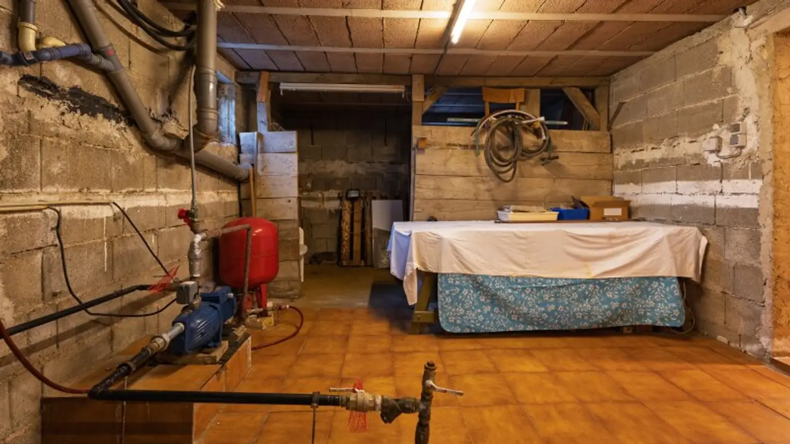 Ihr Haus in Probstdorf: Einfamilienhaus mit Terrasse, Garage und viel Potential!