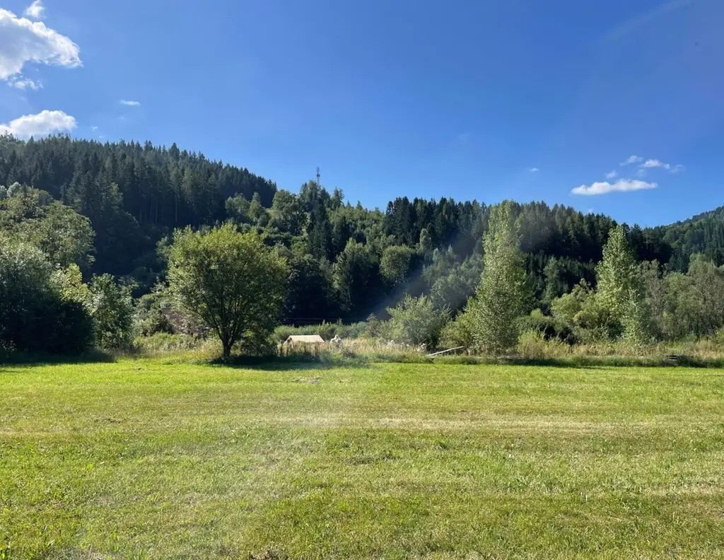 Traumhaftes Grundstück in Stanz im Mürztal - 7840 m² Bauland