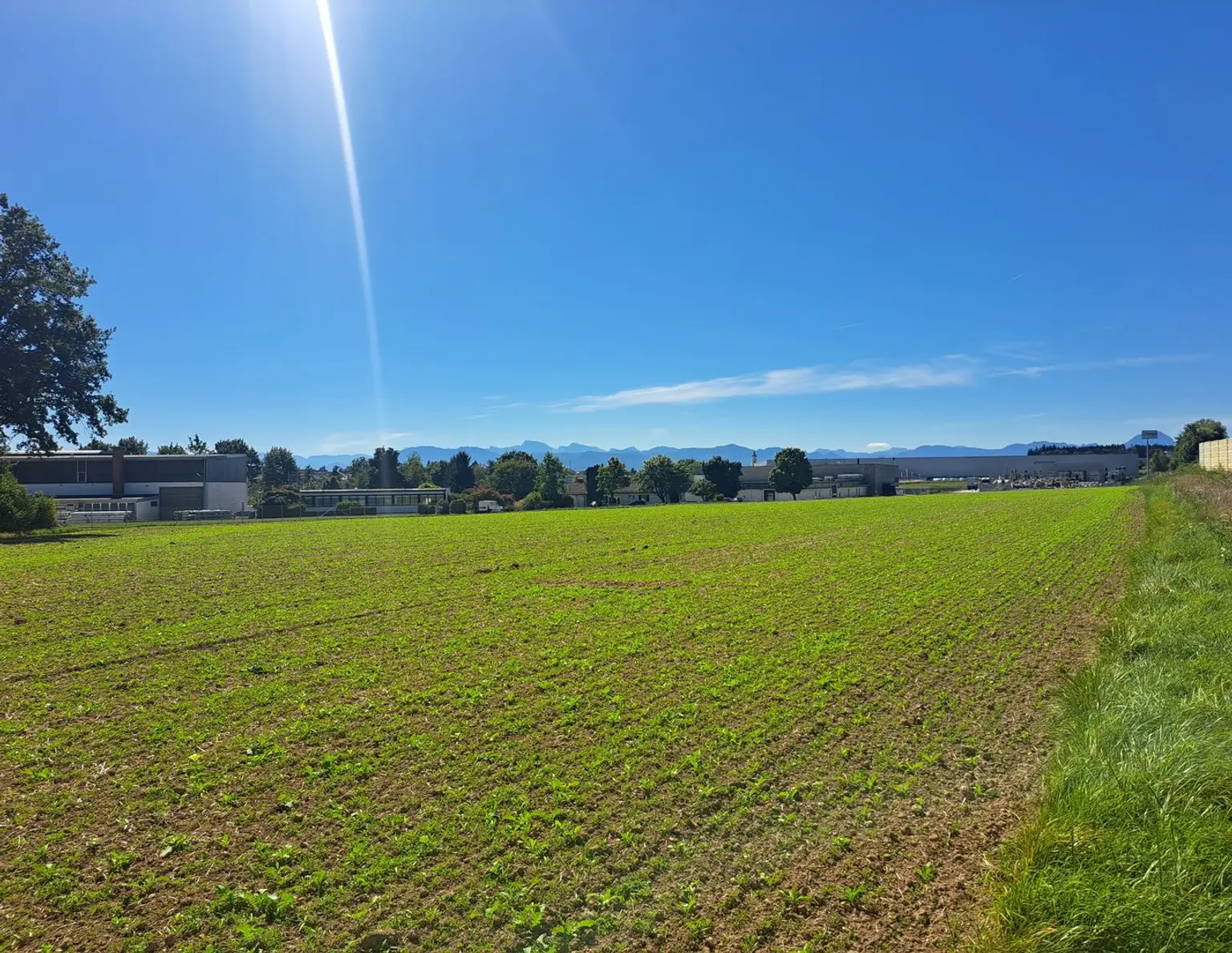15.500 m² in TOPLAGE auf Baurechtsbasis zu pachten I Autobahnauffahrt A1/ A9 1,5 km entfernt