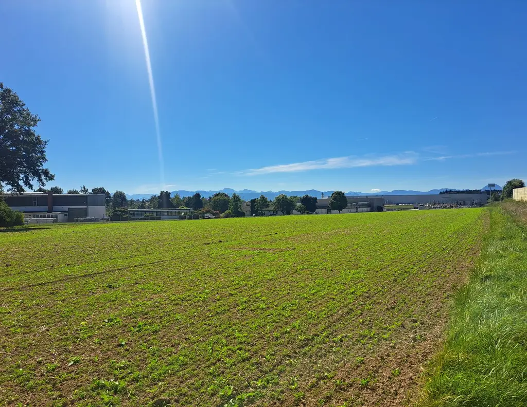15.500 m² in TOPLAGE auf Baurechtsbasis zu pachten I Autobahnauffahrt A1/ A9 1,5 km entfernt