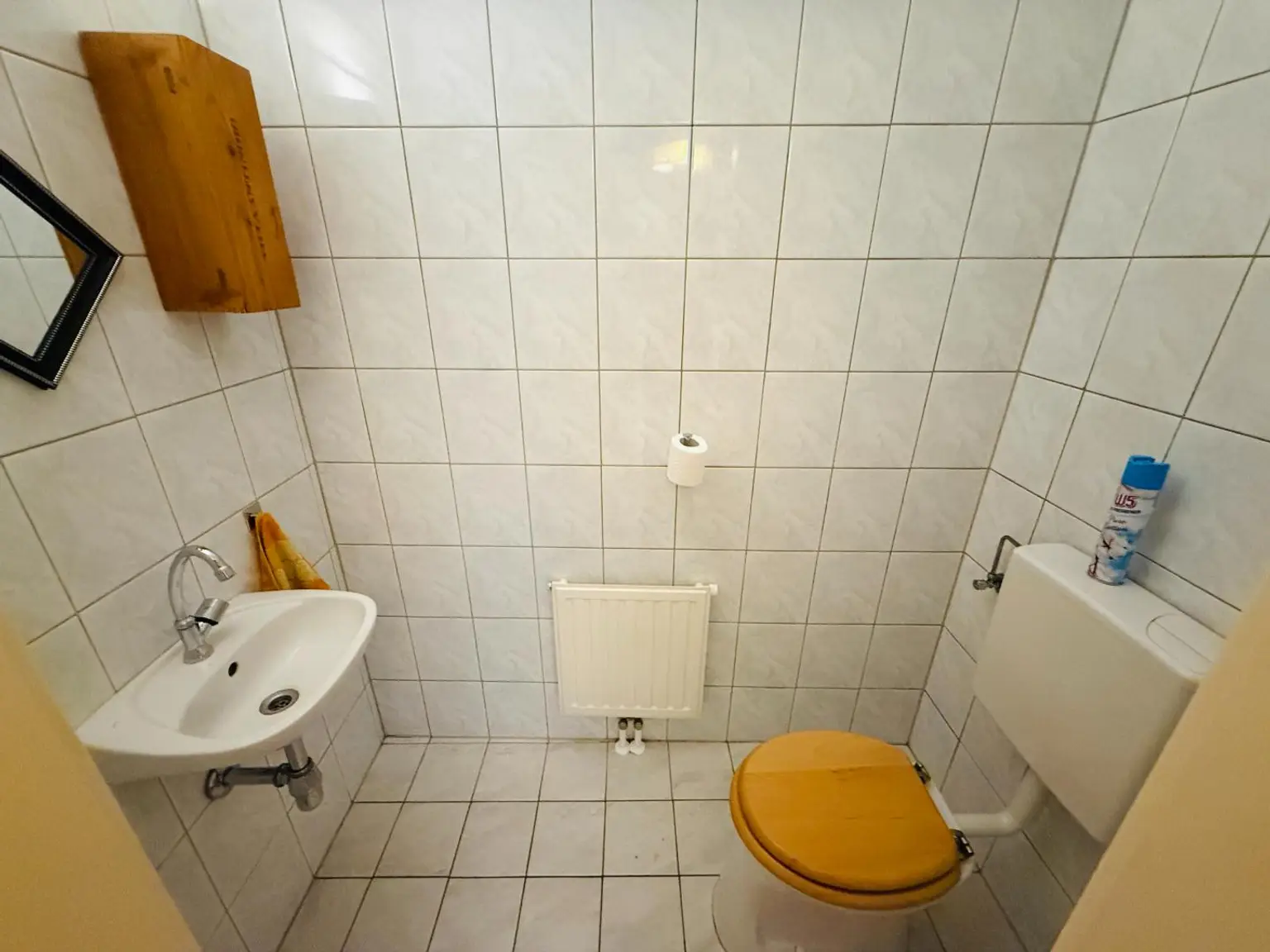 großes WC mit Waschtisch
