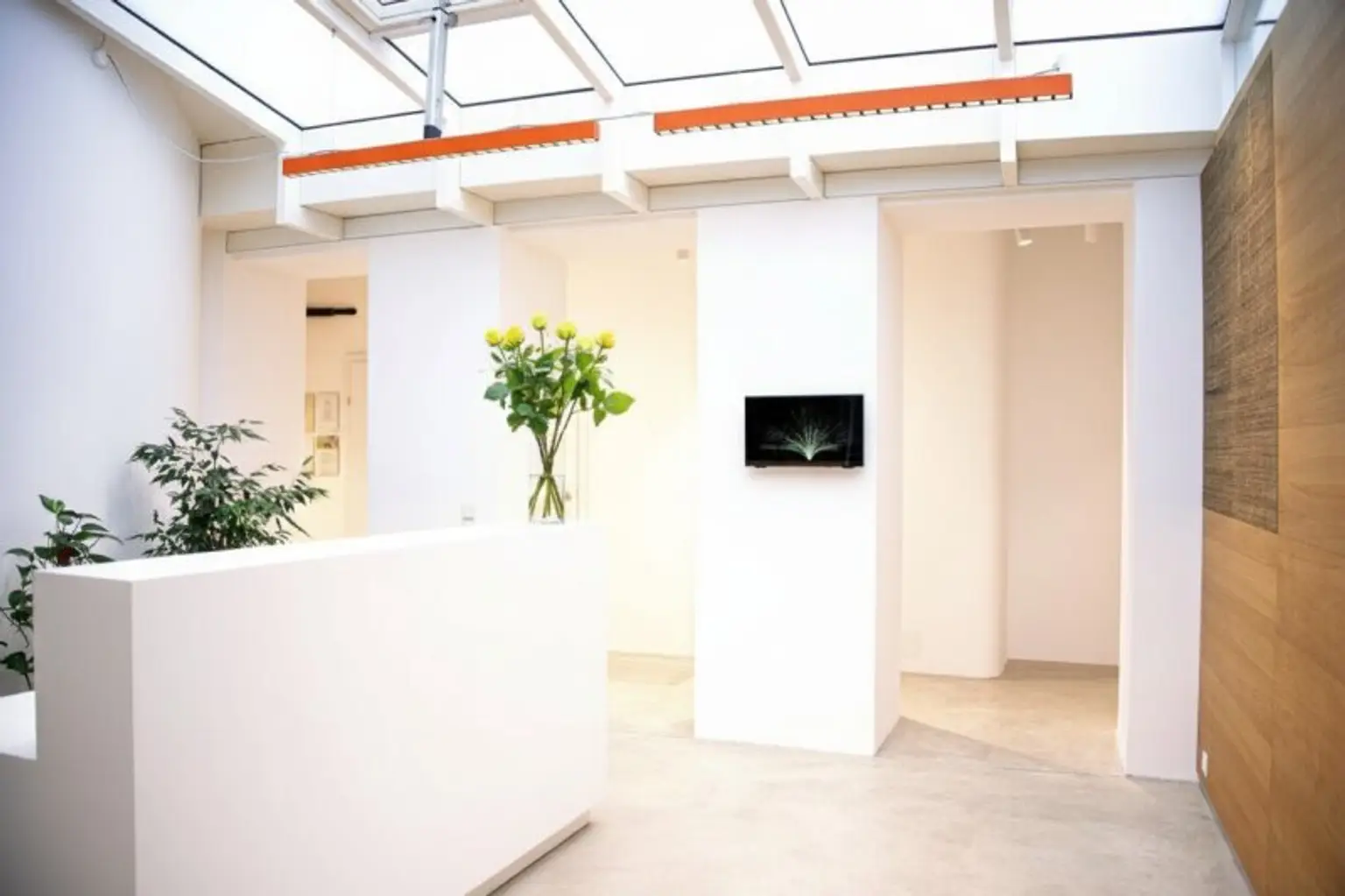 Visualisierung Empfang