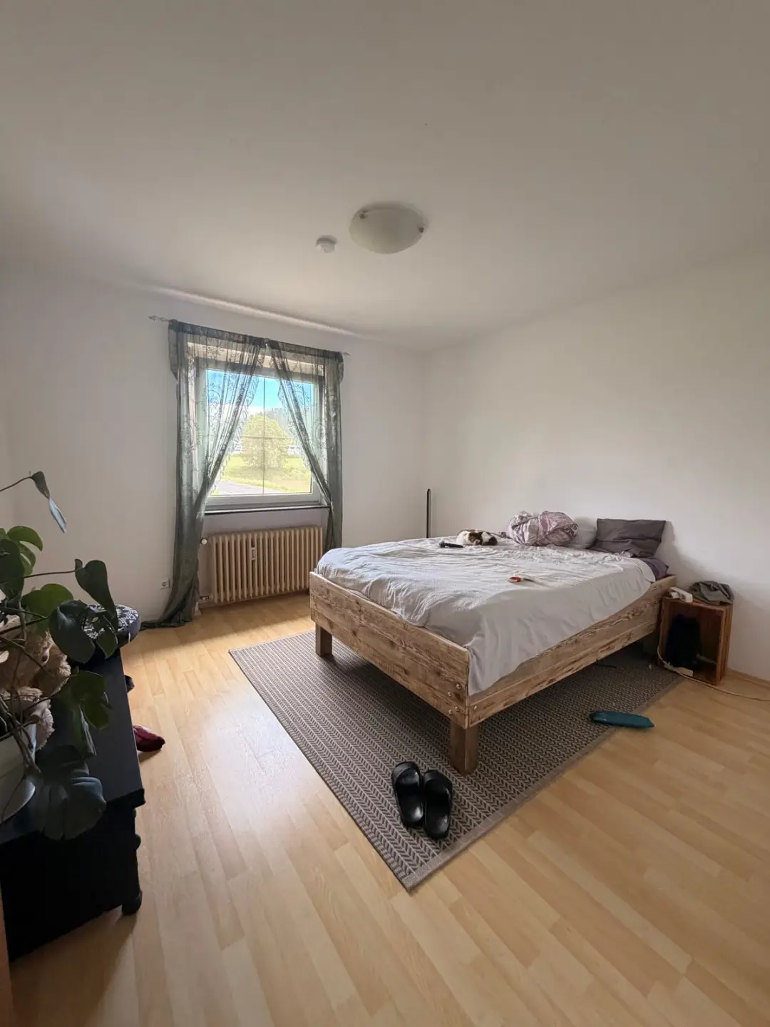 Wohnung 2 Zimmer 1