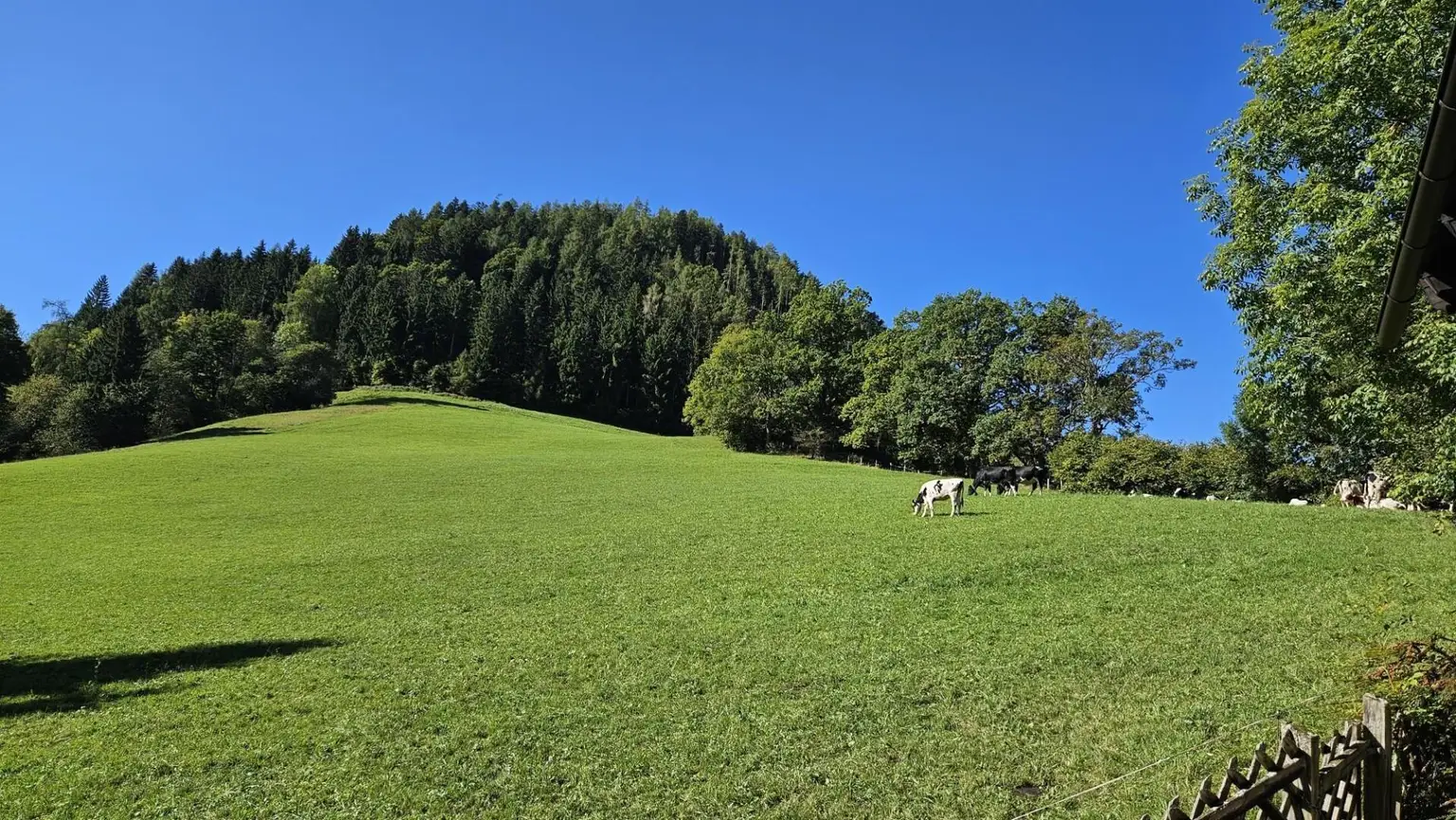 Wiese im Südwesten