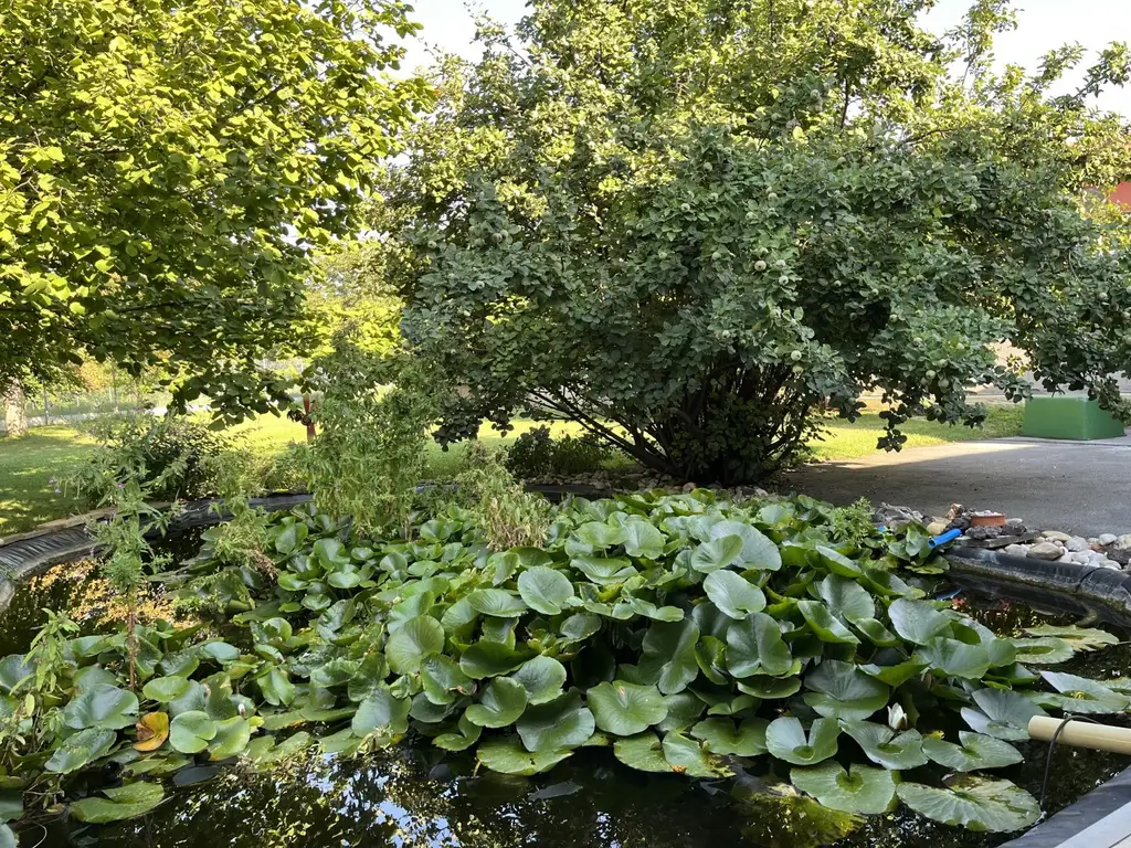 Sehr viel Platz im Haus und auch im traumhaften Garten