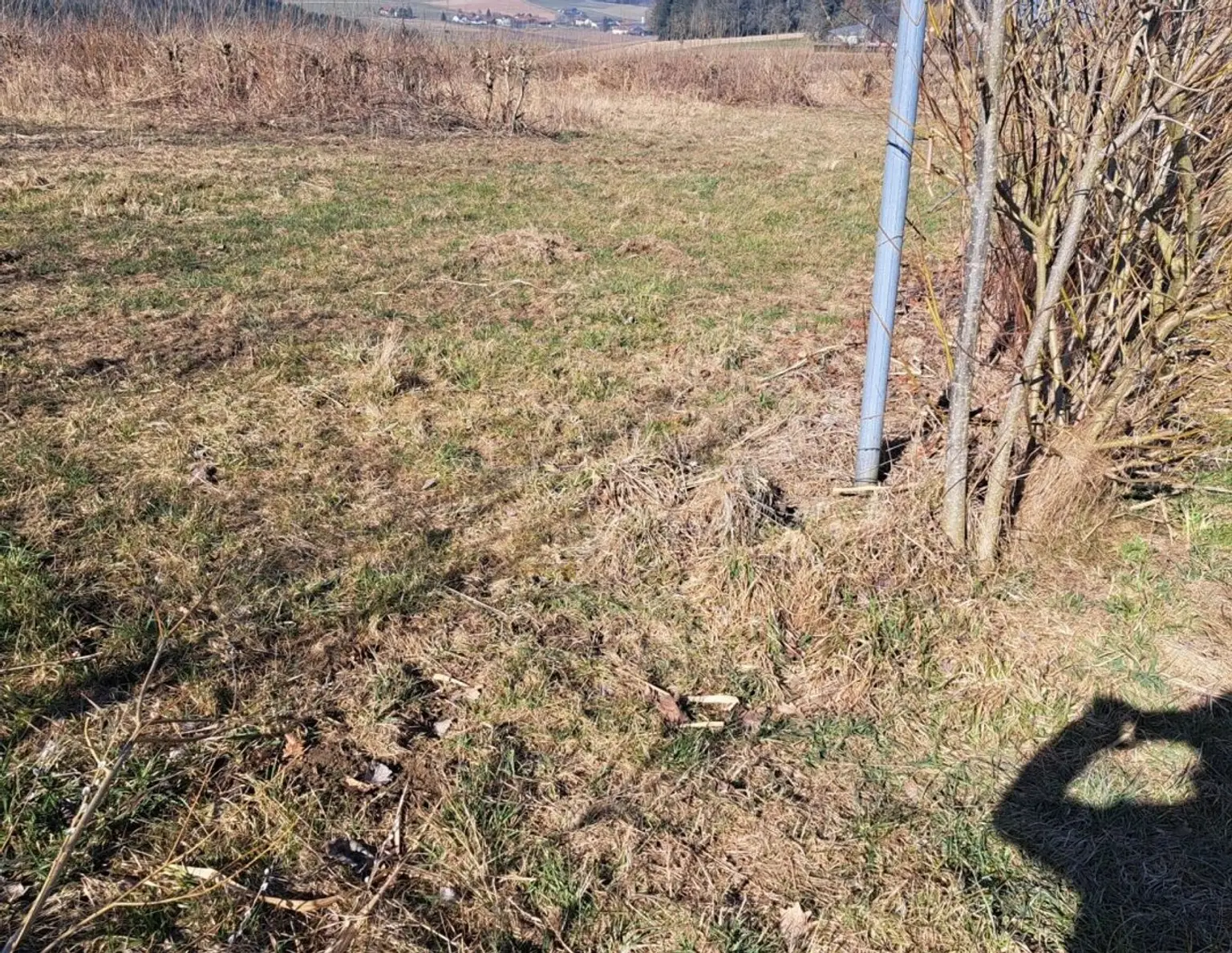 Exklusives Weinbaugrundstück, Südhang in sonniger Lage!