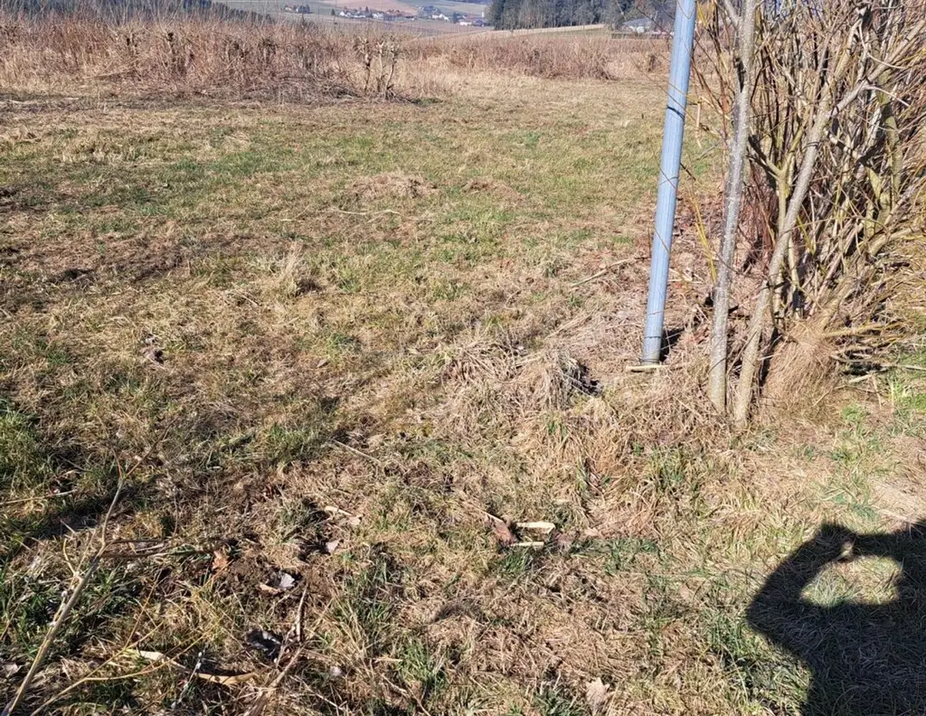 Exklusives Weinbaugrundstück, Südhang in sonniger Lage!
