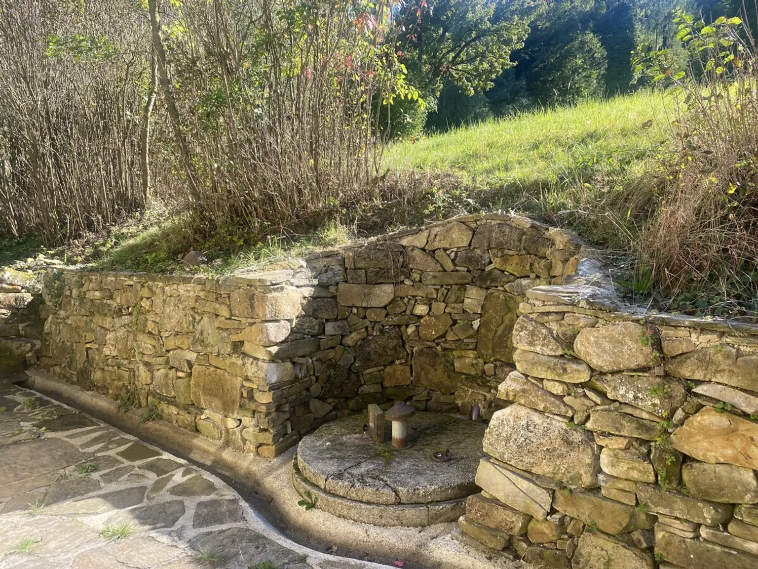 Wienerwaldhof  mit Pool im Apfelgarten  - 7 Zimmer  - 5 bedroom villa 15 km from Vienna