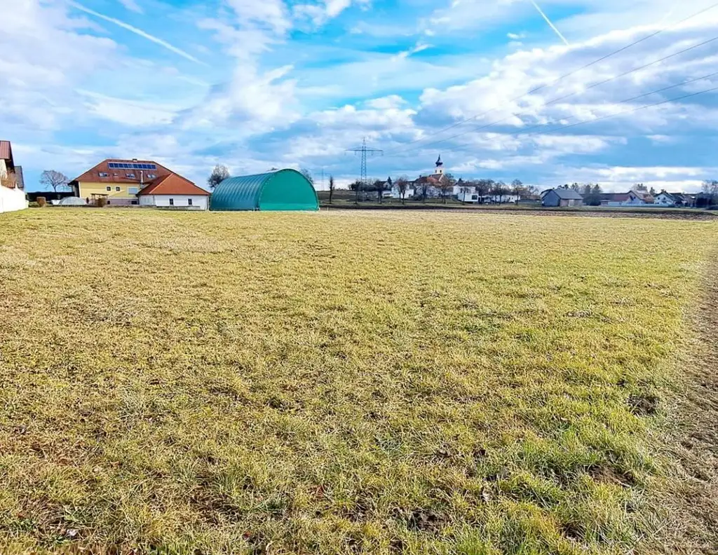 VIEL GRUND - VIEL GRÜN