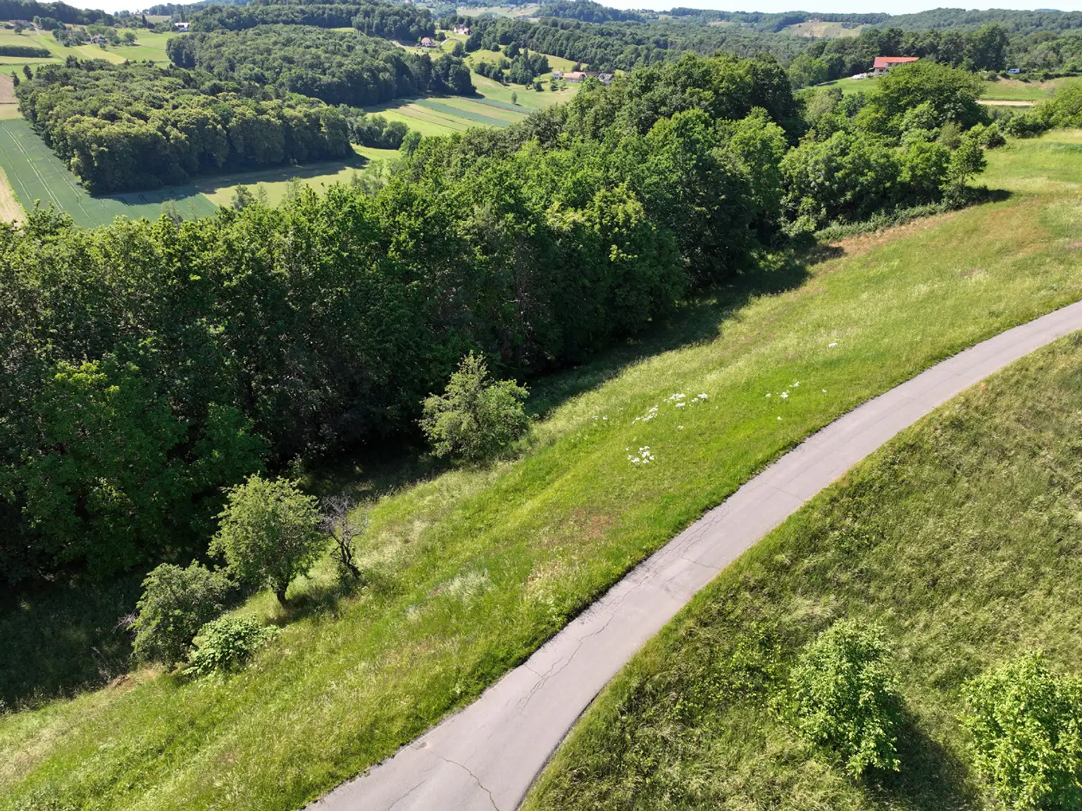 Wiese-Wald_01