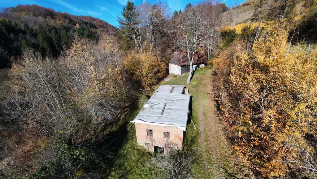 Weingarten mit Landwirtschaft und Altbestand in Kranach, Gemeinde Gamlitz