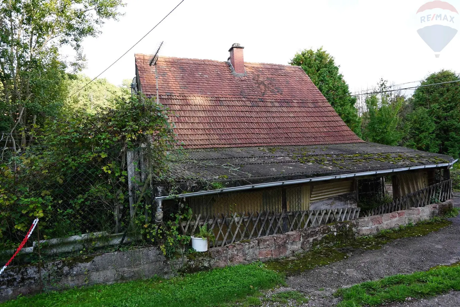 DSC05978