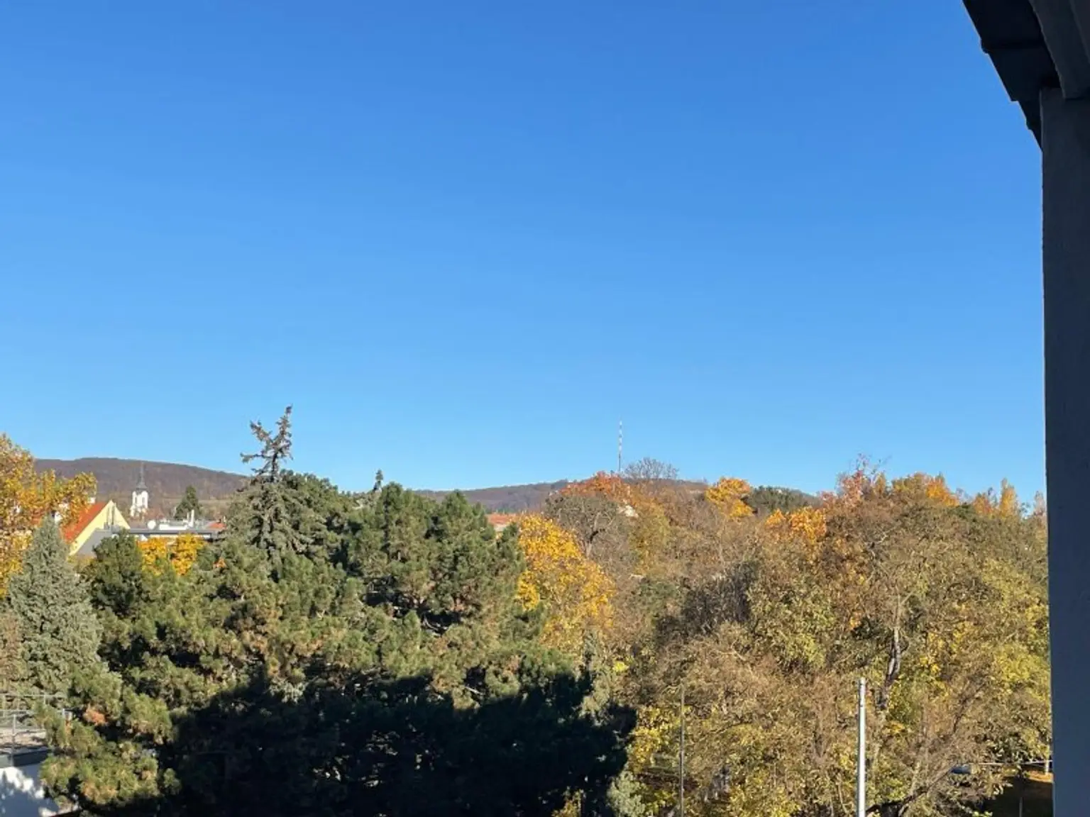 Ausblick