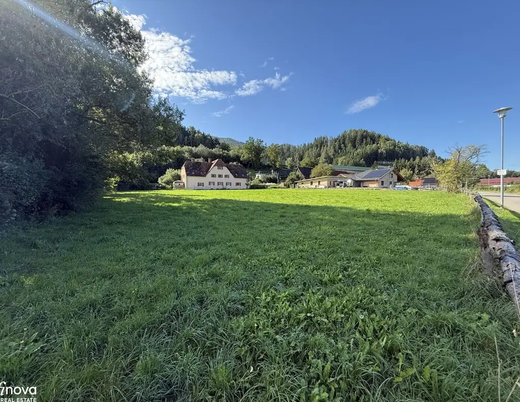 Baugrundstück im Grenzkataster - 3.830 m² in sonniger Lage - Niklasdorf / Waltenbach!!