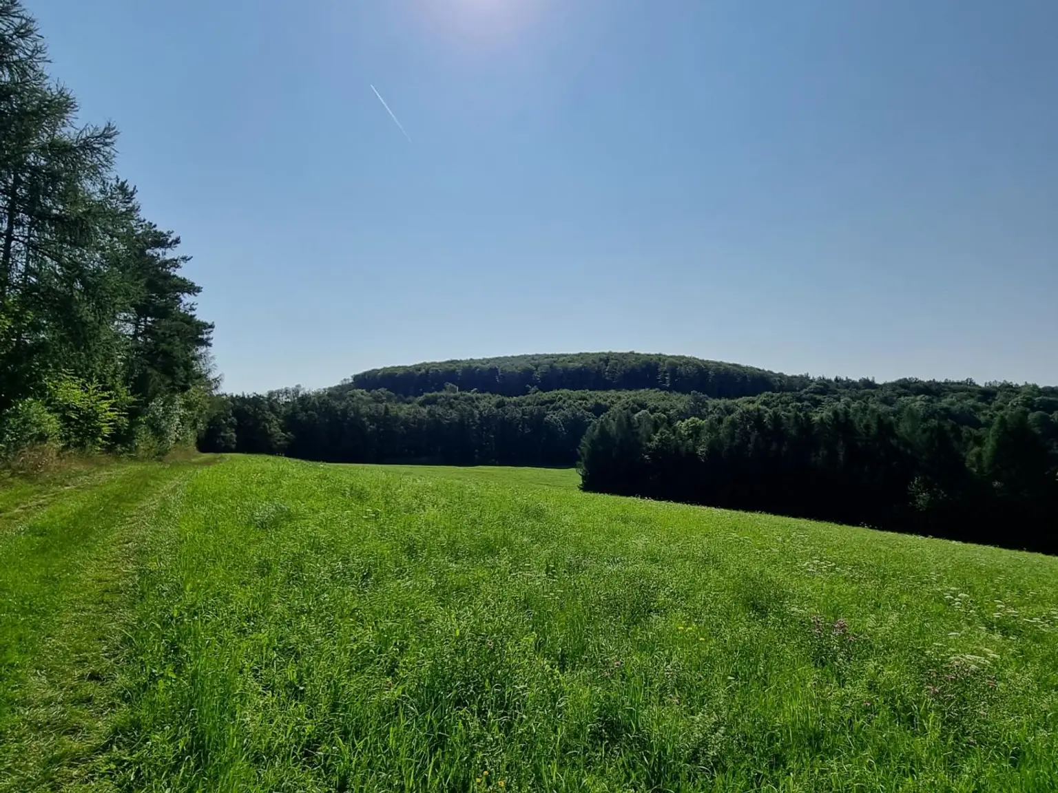 LANDWIRTSCHAFT VOR DEN TOREN WIENS
