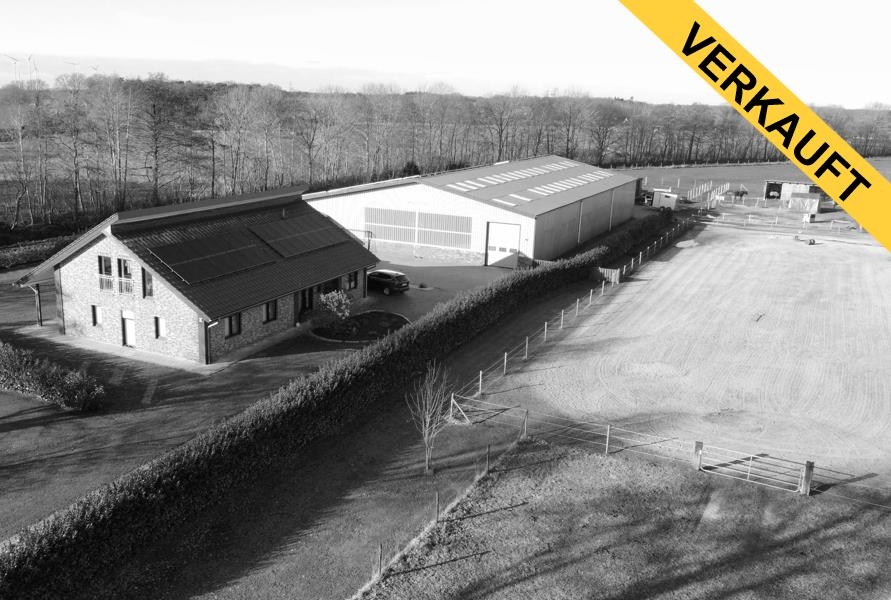 Ein Traum für Pferd & Reiter! Modernes Familienhaus mit Reithalle!