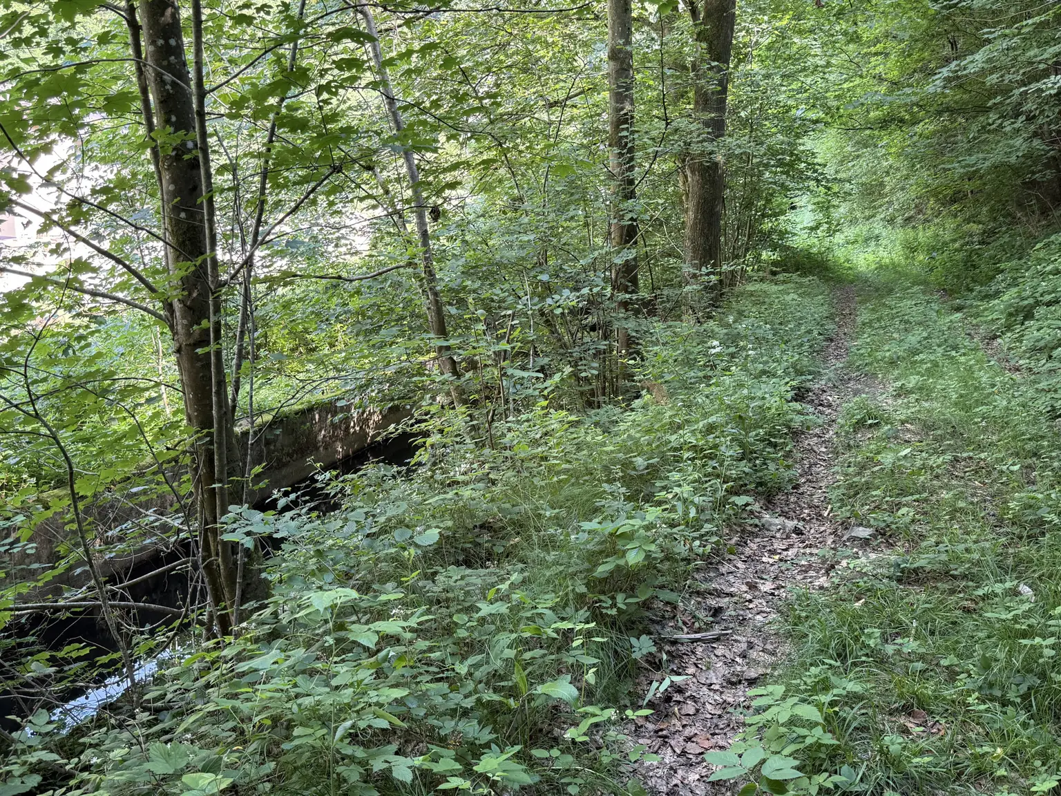 Zufahrtsweg
