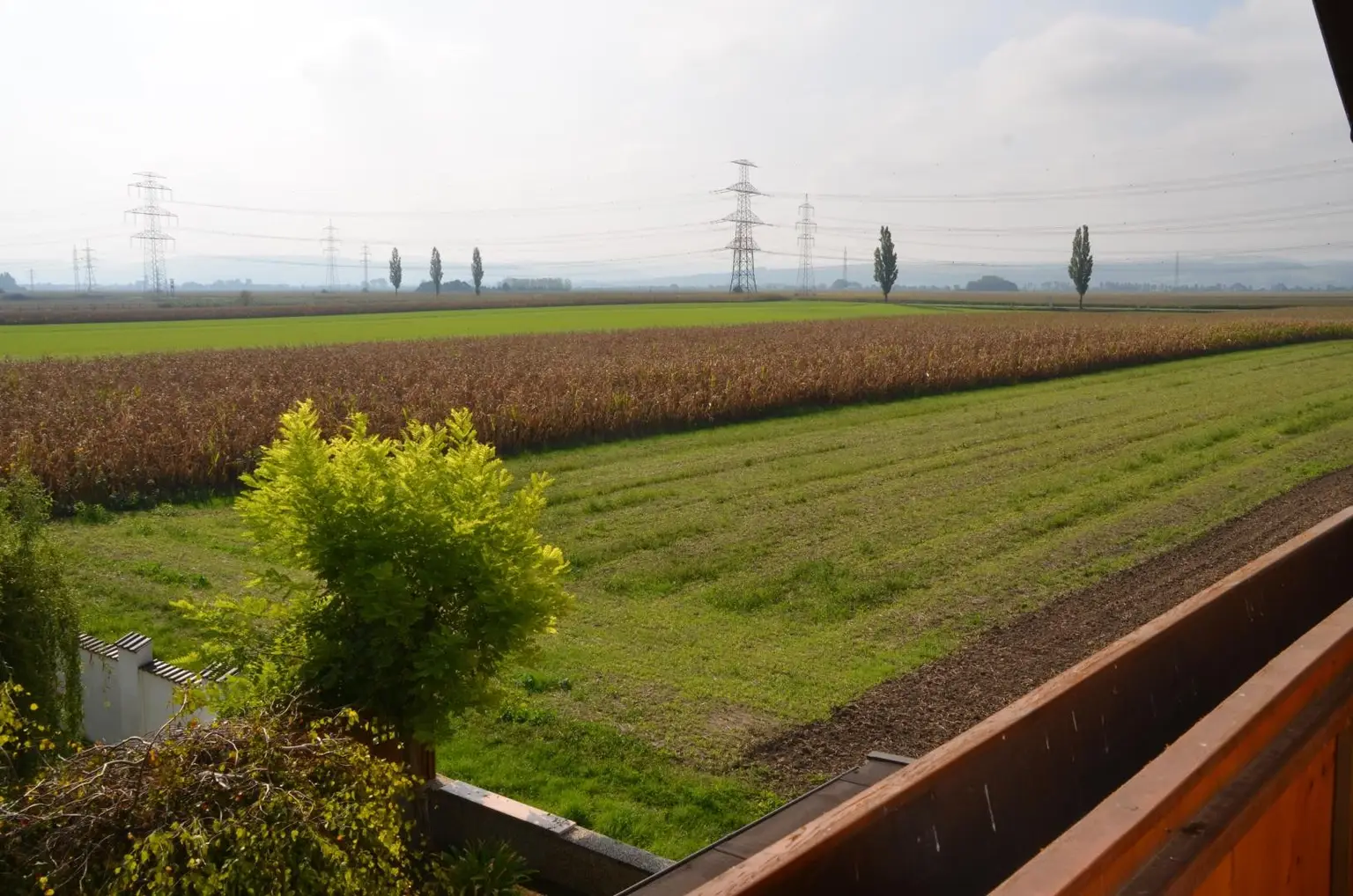 Ausblick Schlafzimmer