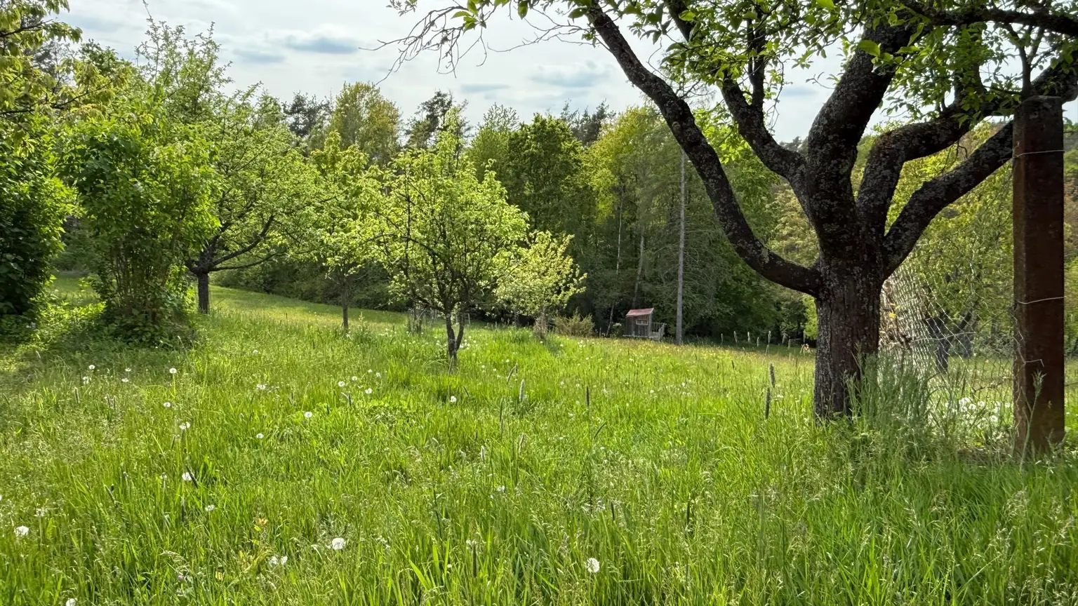 Traumgarten