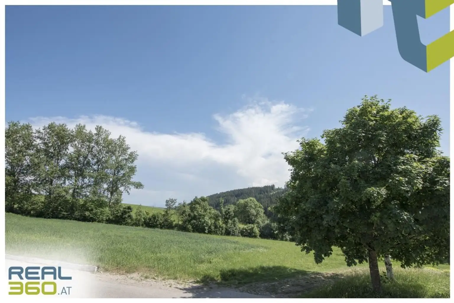 Blickrichtung Süd von der Terrasse