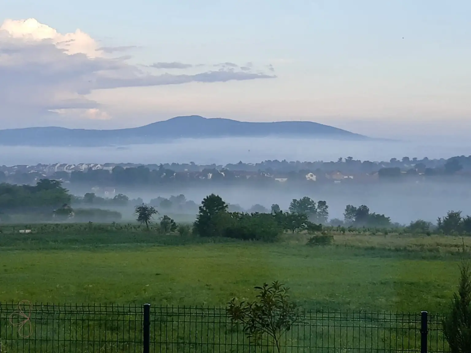 3670d33e-310f-466a-9cc0-55e5b01779d4