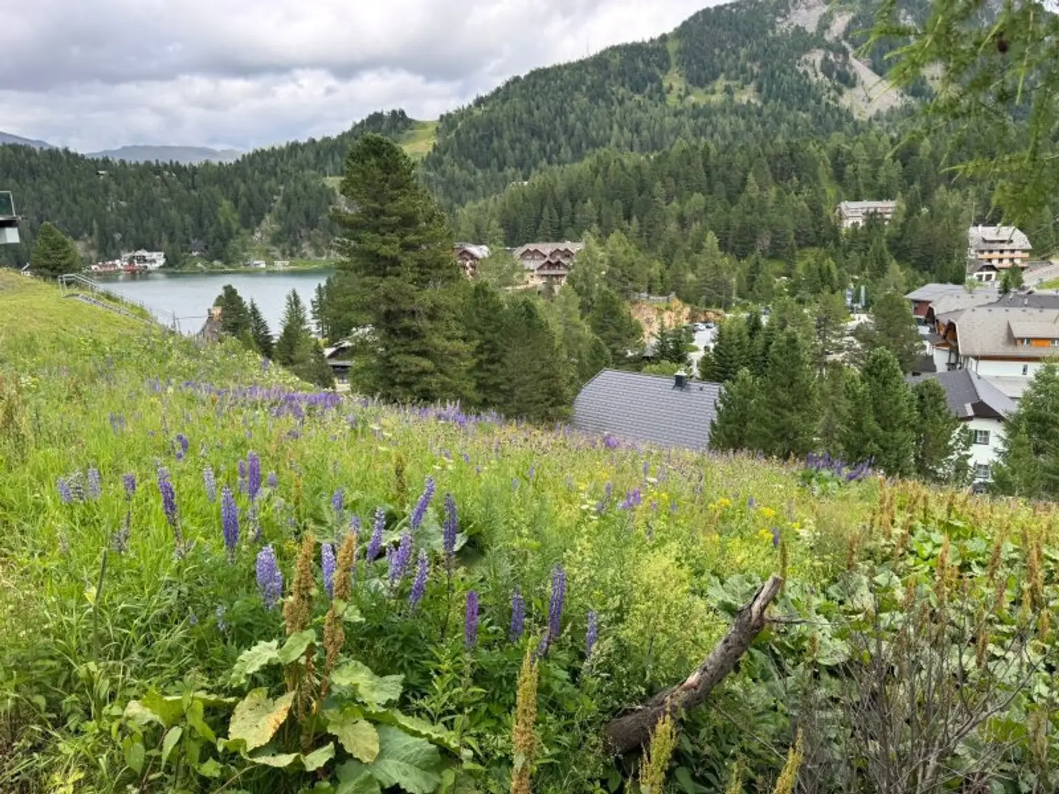 Turracher Höhe - Baugrundstück für eine kleine Apartmentanlage - DIREKT bei der Piste und der Talstation "Panoramabahn"