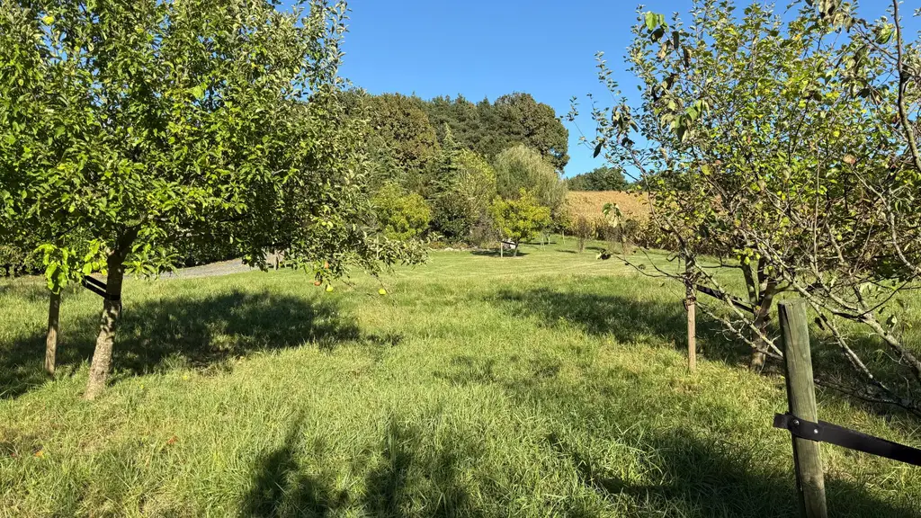 Attraktiver Bungalow auf einem großzügigen, sonnigen Grundstück in ruhiger Südlage