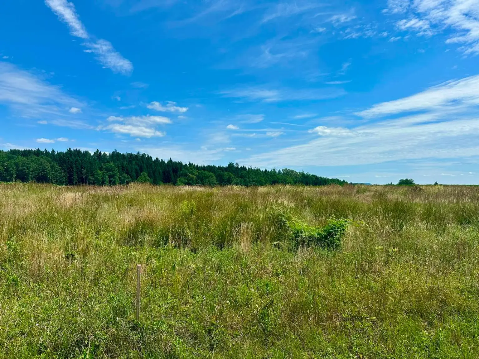 Baugrundstücke Top Lage sonnig und ruhig Gross St