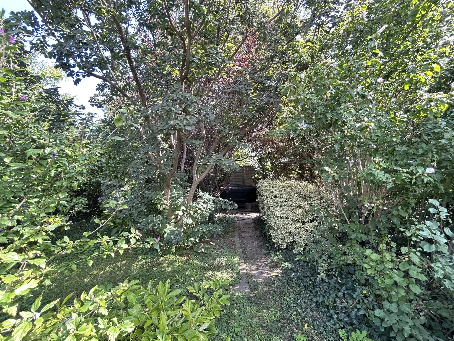 Traumhafte Lage, auf Eigengrund und unmittelbarer Nähe zum Donaupark/ Alte Donau - Bruckhaufen