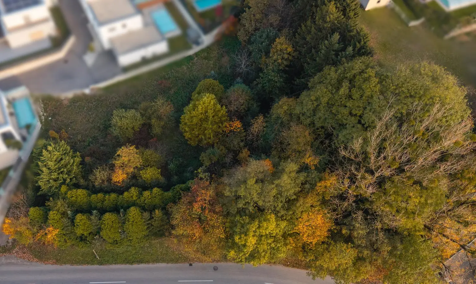 Vom Traum zum Zuhause – 821 m² Lebensfreude in Steinhaus - Grundstück mit vielen Möglichkeiten