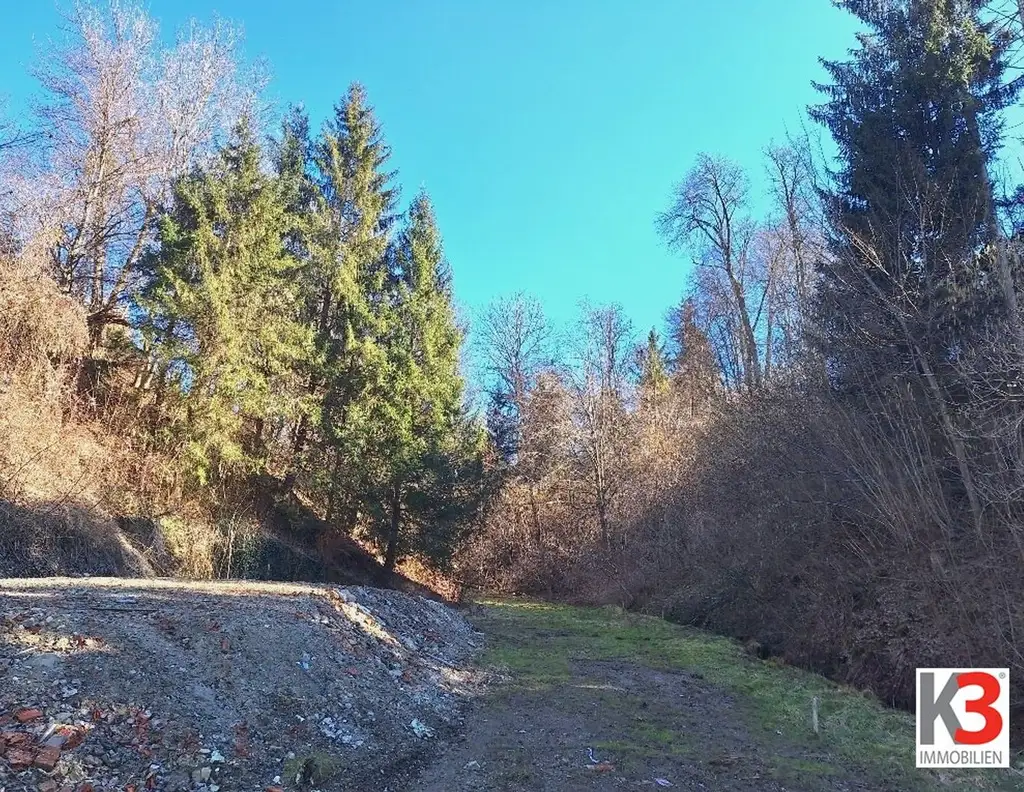 K3 - GROSSES GRUNDSTÜCK IN WALDRANDLAGE mit 1200 m2 Bauland und 1500 m2 Wald in der Gemeinde St. Kanzian