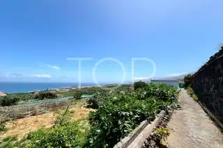 Finca-Puerto-de-la-Cruz-xxx-Teneriffa11