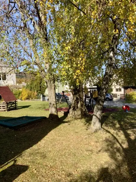 Sonniges Baugrundstück 640 m² in Perchtoldsdorf - auch für Bauträger geeignet - 630.000 €