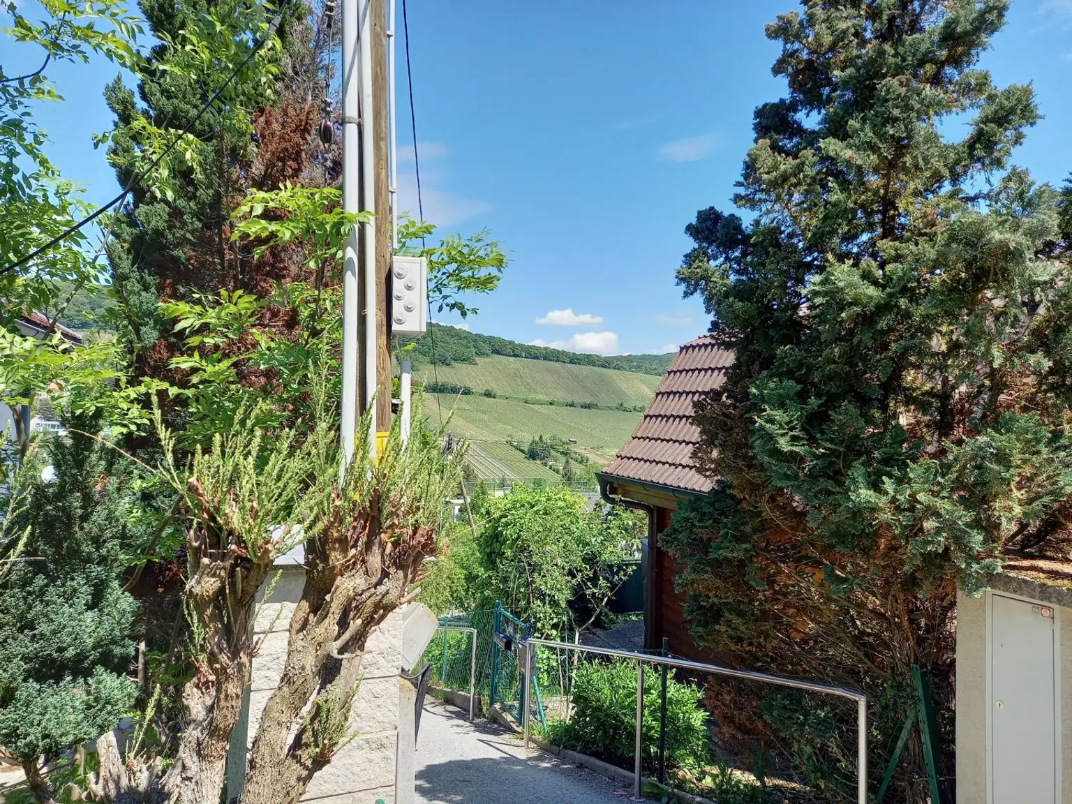 Ausblick Garten