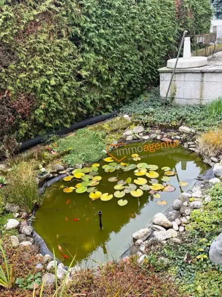 Absolut gepflegtes Zuhause in Paschings Toplage, viel Platz, Potenzial und echte Lebensqualität