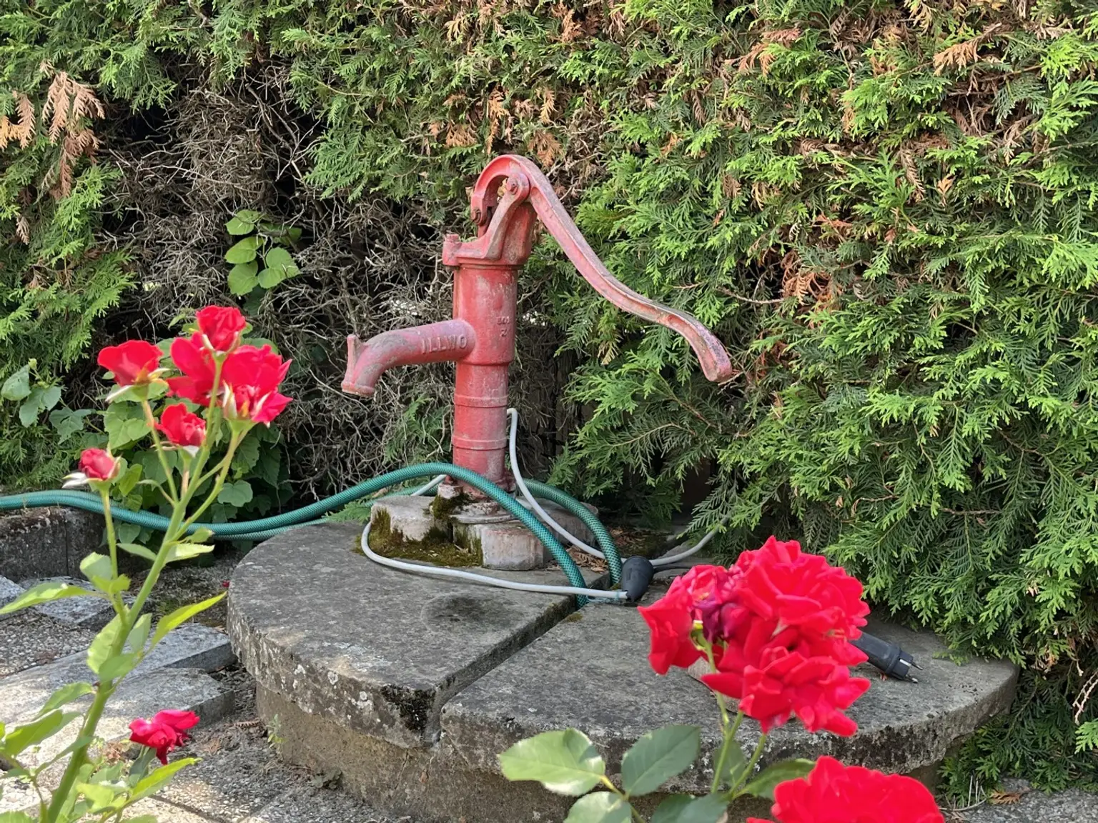Wunderschöne Immobilie in zentraler Lage von Ladendorf