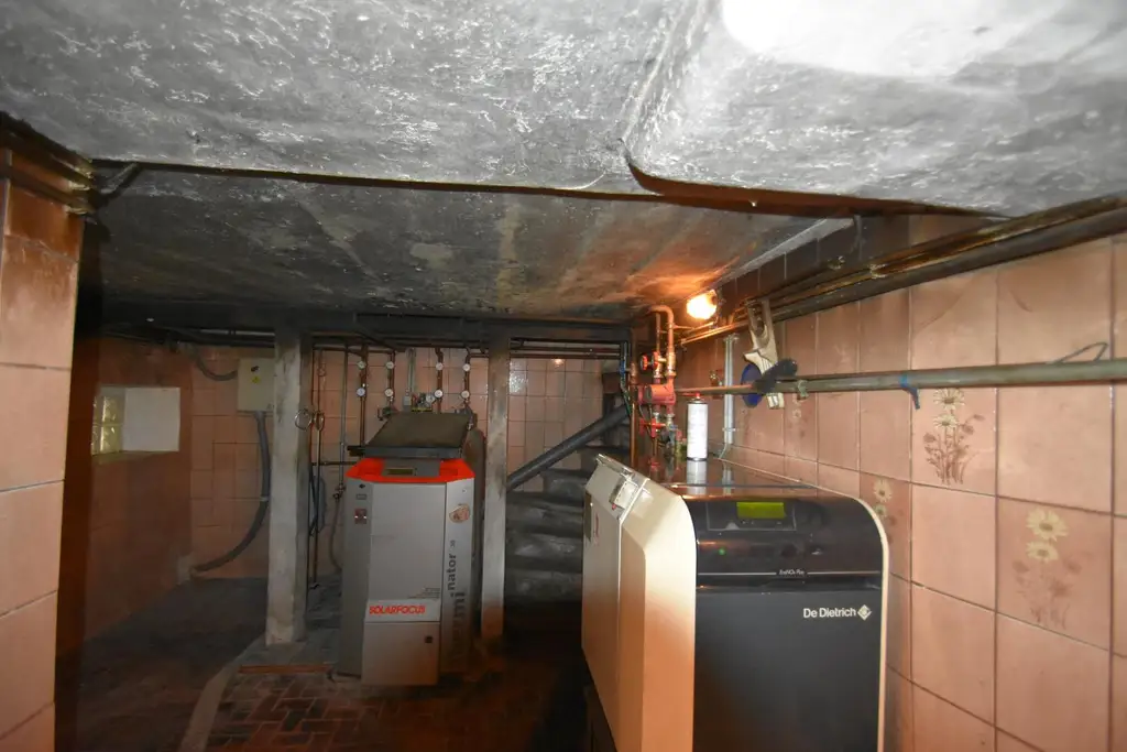 Wohnhaus mit großem Waldgrundstück