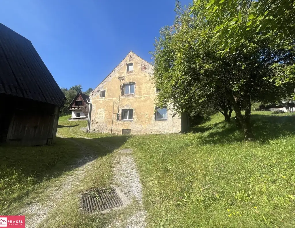 Einmalige Gelegenheit: Traumgrundstück am Südhang mit Panoramablick - 2,4 ha Bau- & Bauerwartungsland in Proleb/Leoben