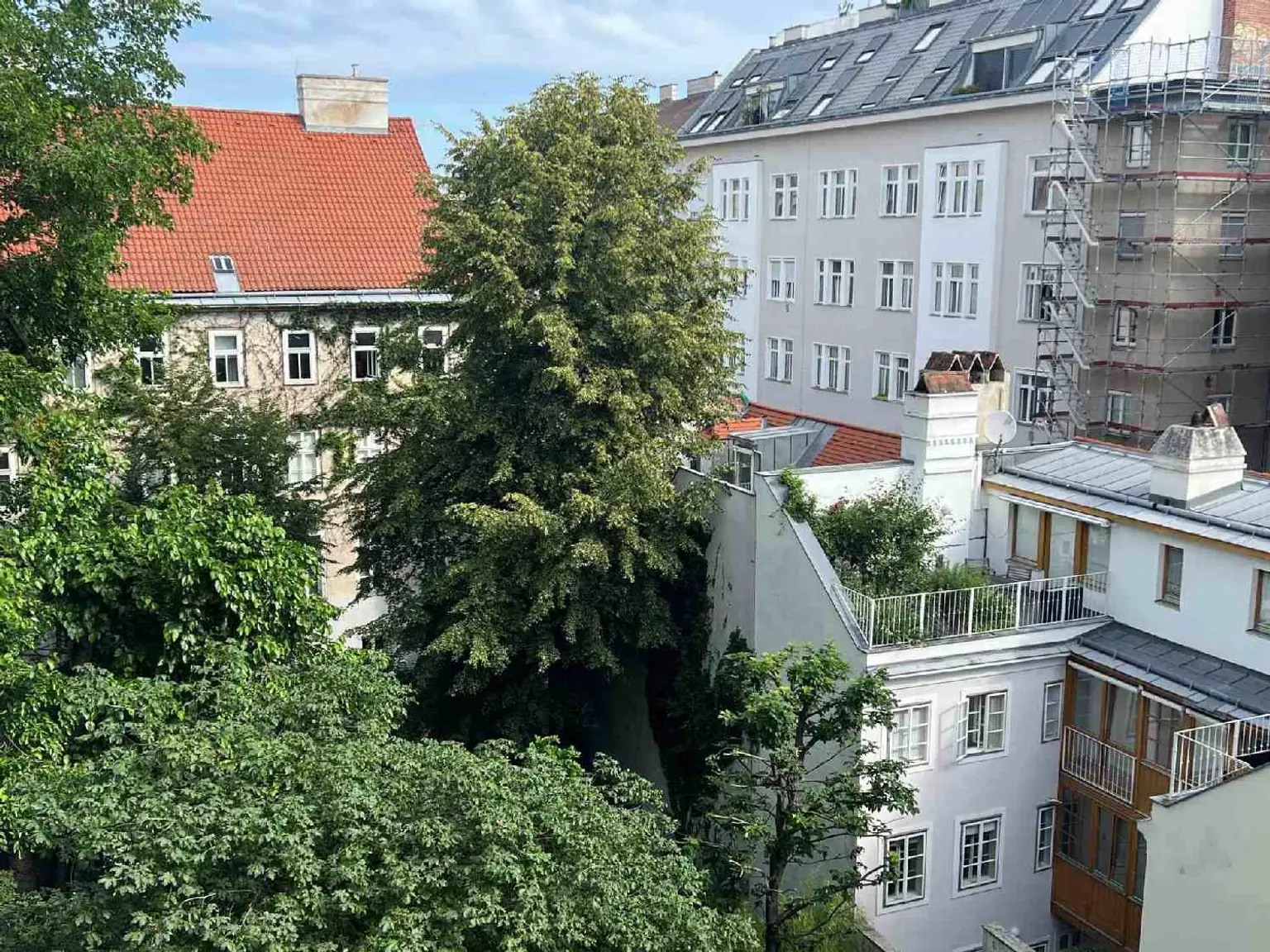 Grünblick a