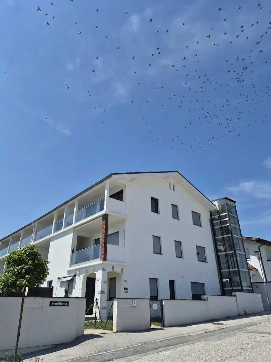 Attraktives Investment - 41 m² Wohnung mit Balkon mit Blick zum Neusiedler See – entspanntes Wohnen im Grünen und die Vorzüge einer lebendigen Region mit hohem Freizeitwert