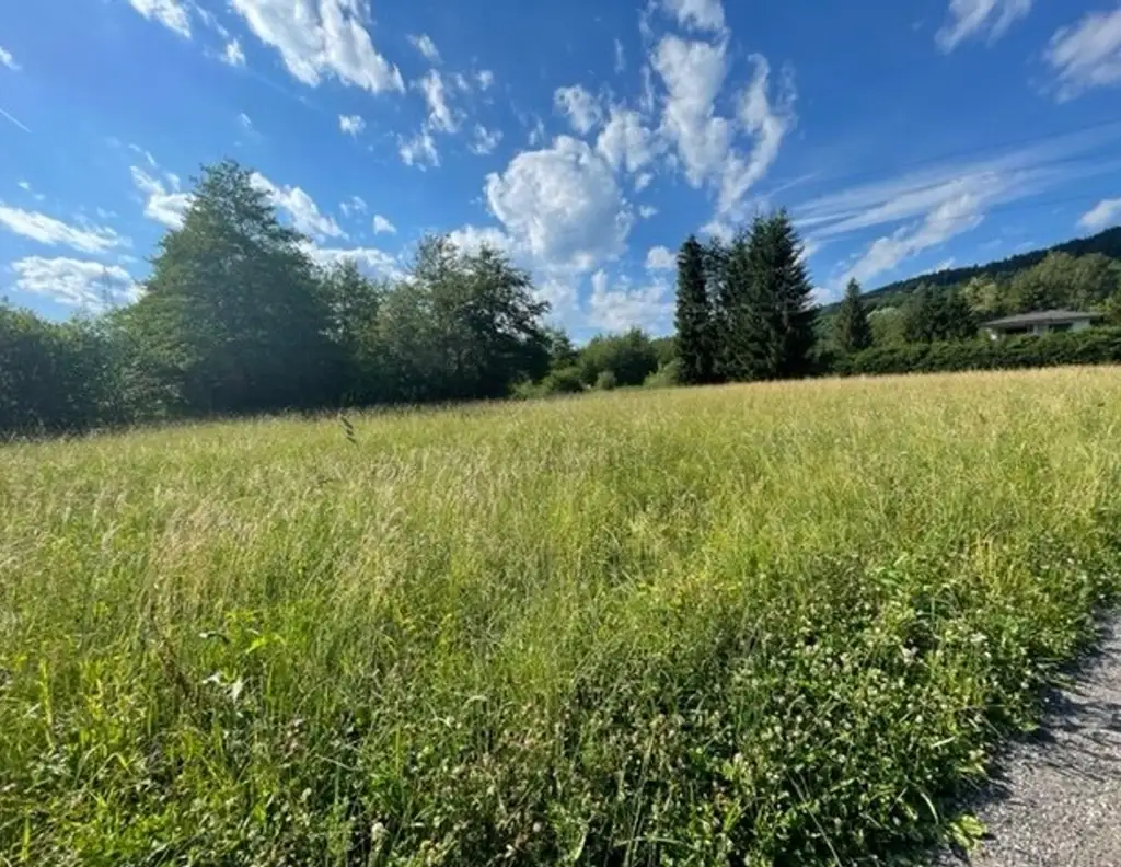Schöne landwirtschaftliche Flächen mit 3.208m² - Nähe Hafnersee - Kein Baugrund!
