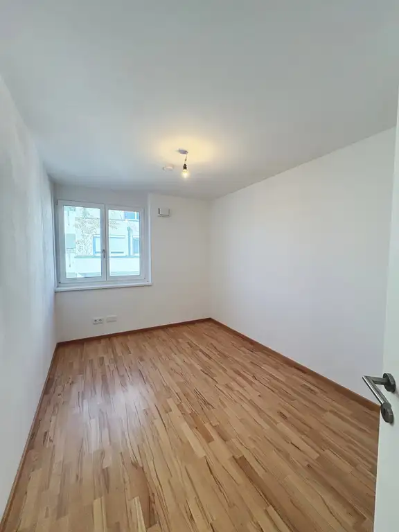 Zimmer