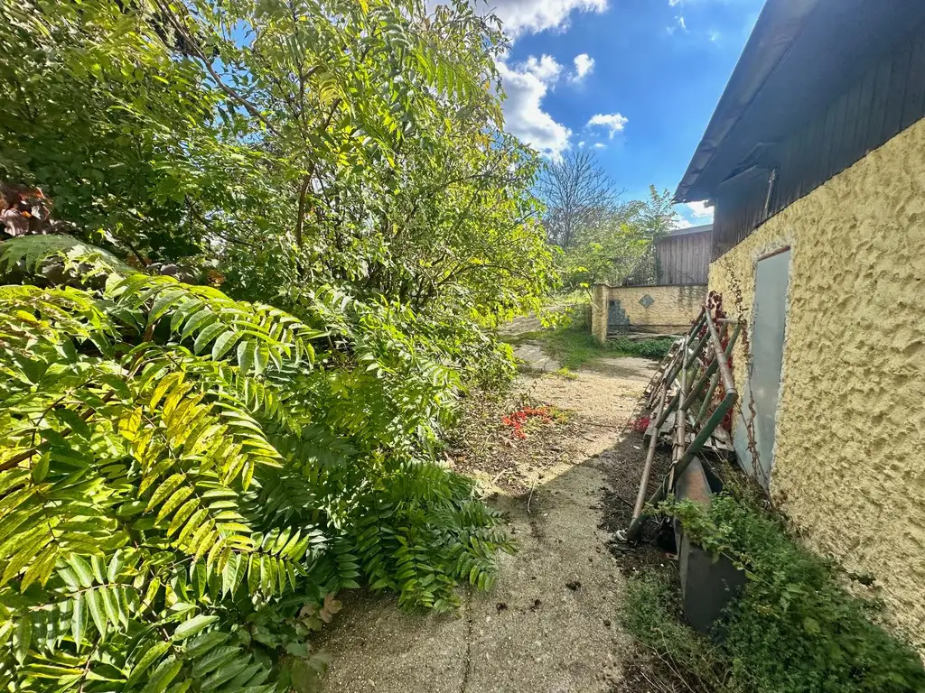 Reiterparadies im Weinviertel – Ihr Traum vom Landleben!