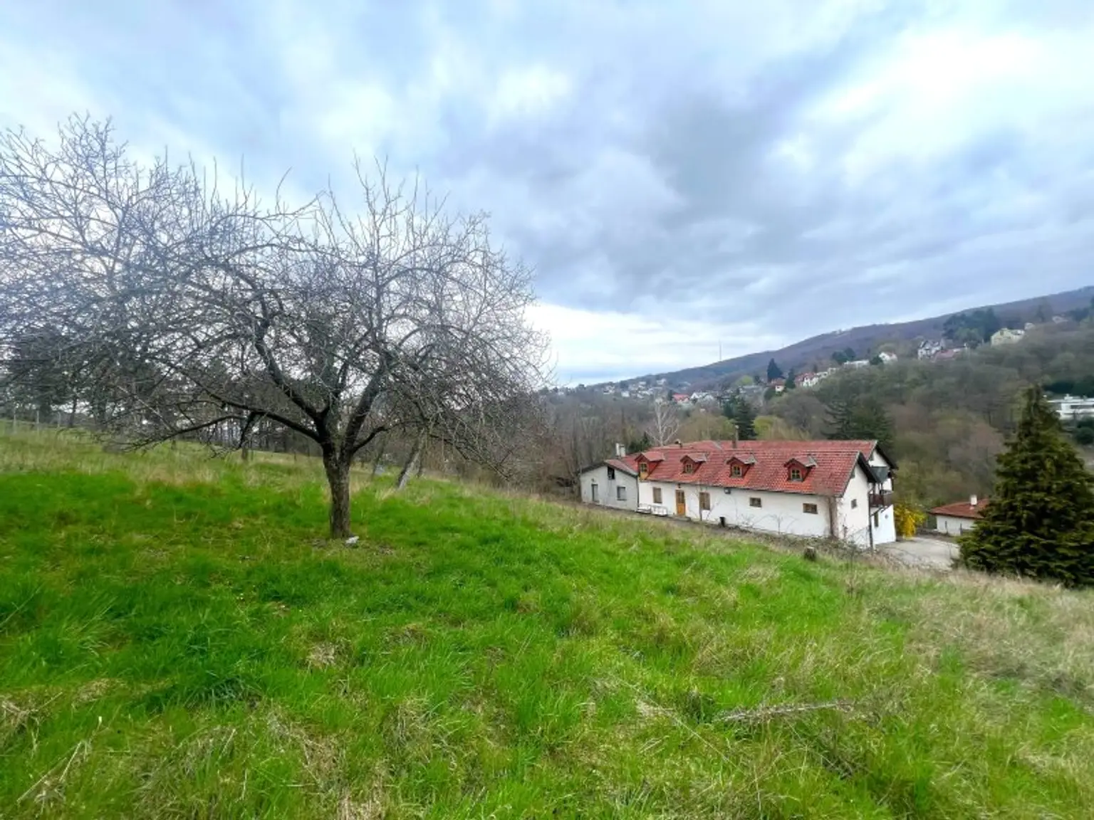 Direkt am Weinberg | Südhang-Lage mit großem Garten und eigenem Weingarten