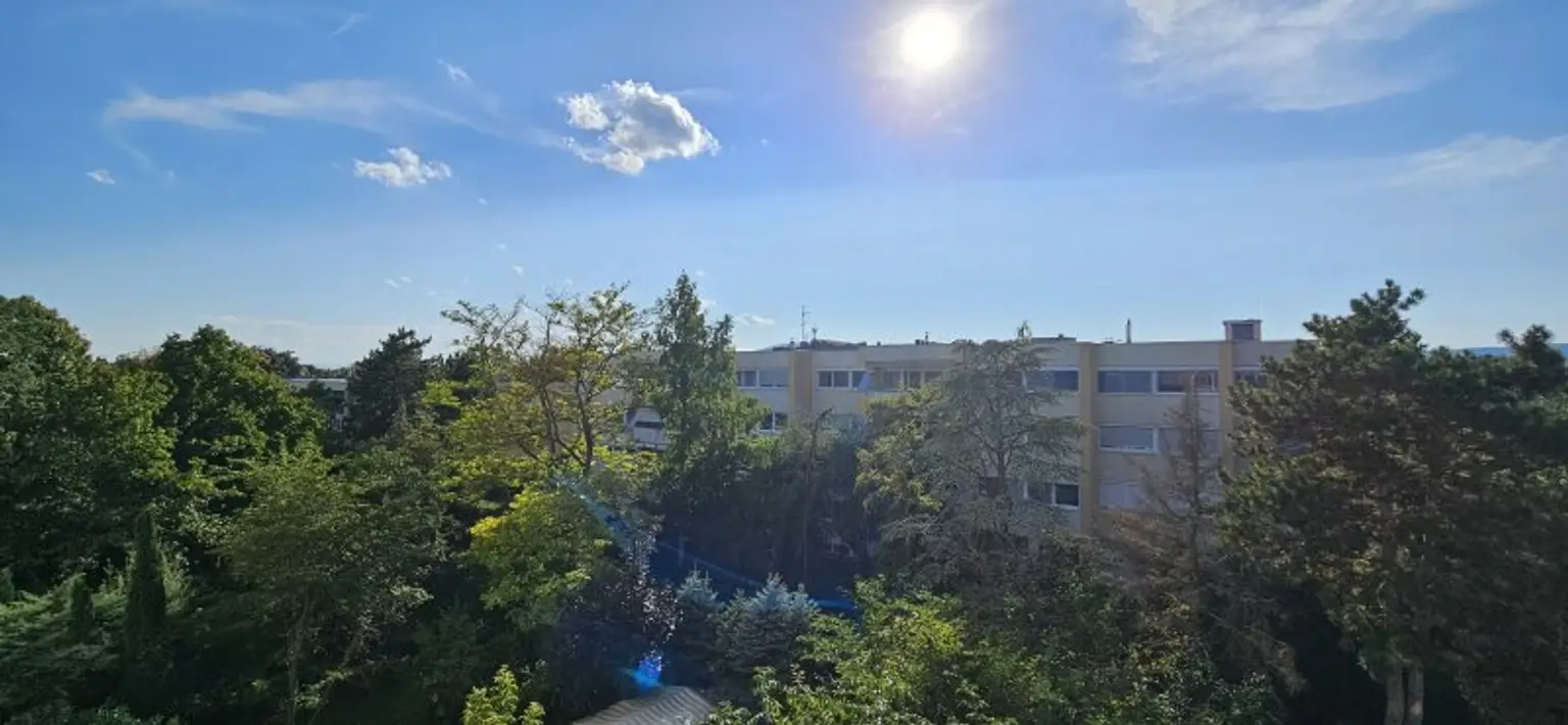 PROVISIONSFREI - Sehr heimelige und großzügige Wohnung im Herzen von Biedermannsdorf