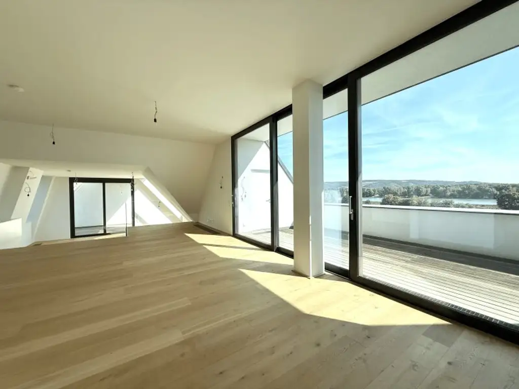 ERSTBEZUG MIT BADESTEG AM WASSER: Ruhelage mit Fernblick über die Donau I großzügige Terrassen & geräumige Wohnküche