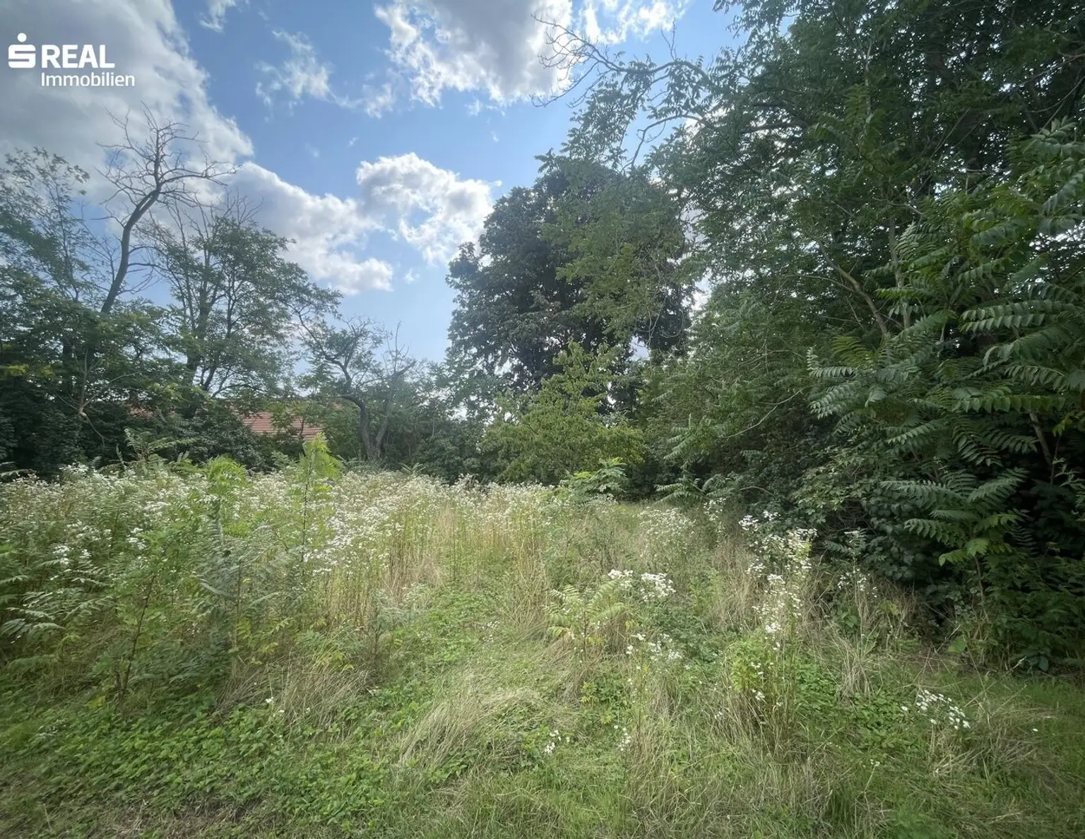 Großzügiges Grundstück mit Abbruchobjekt & Zufahrt - Paulahof bei Nickelsdorf
