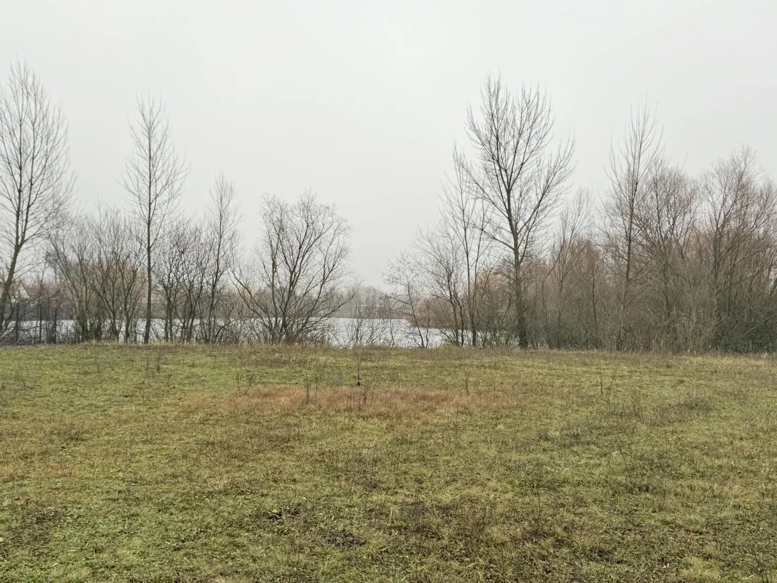 Ost -Südseitiger Blick am Teich