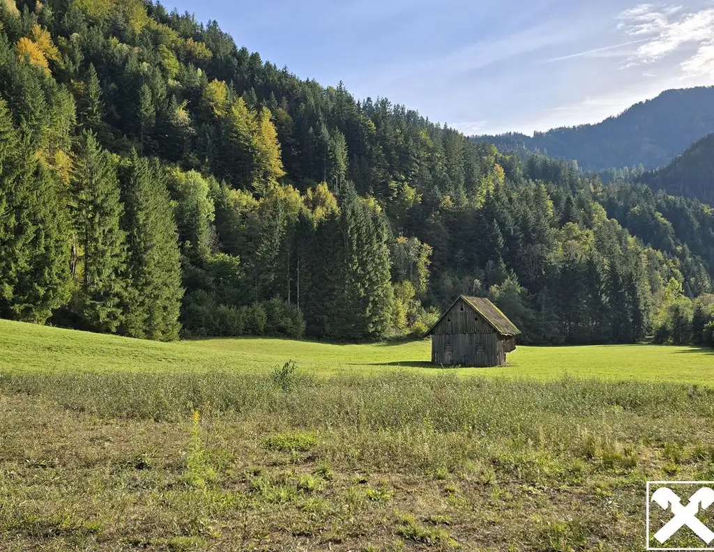 Grundstücke mit Zukunft - vielseitig nutzbare Wald- und Wiesenflächen in idyllischer Lage von Bad Eisenkappel