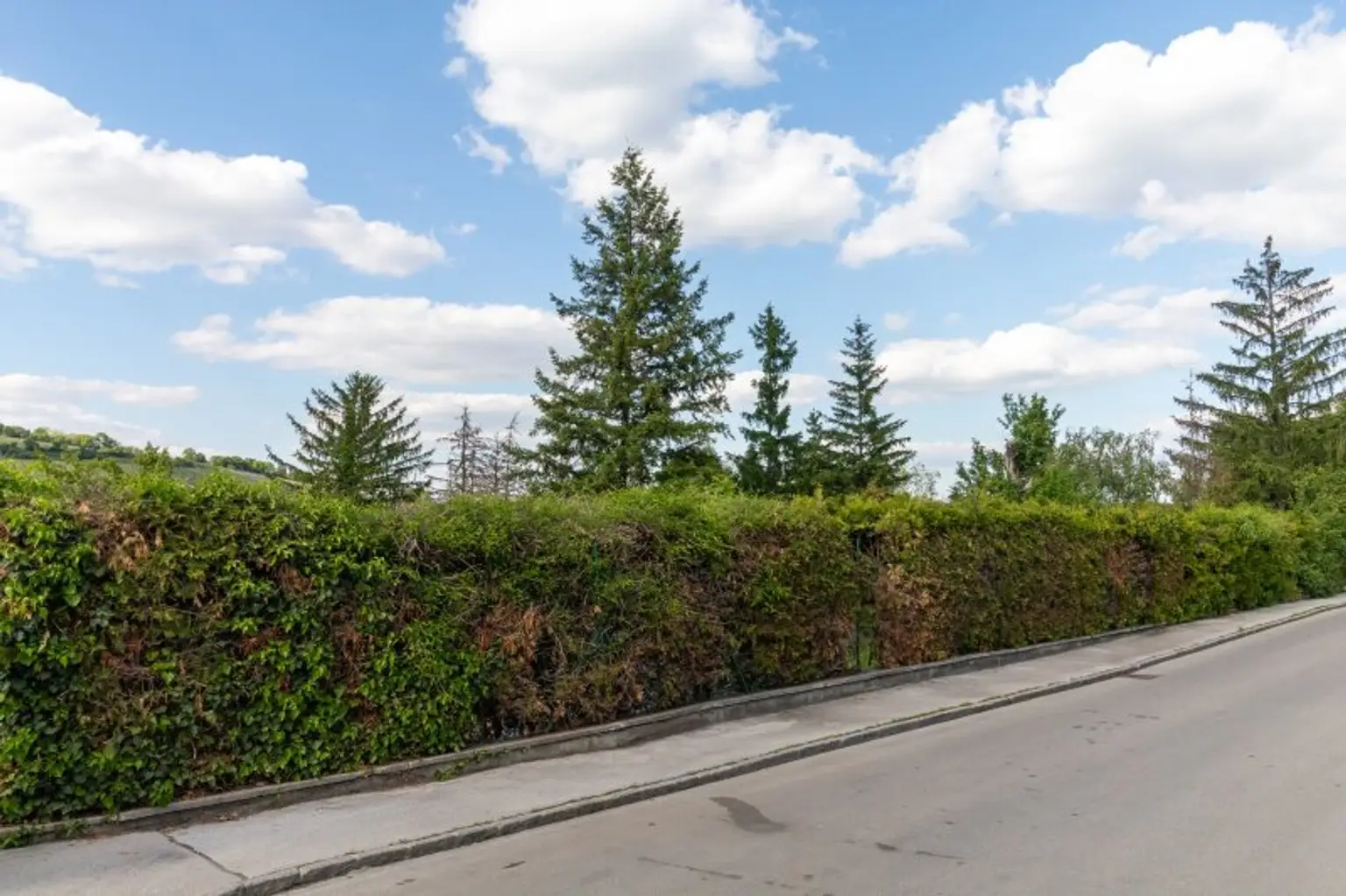 Straßenfront des Grundstückes